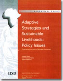 cover_adaptive_strategies_live2_en.jpg