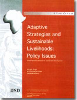cover_adaptive_strategies_live3_en.jpg