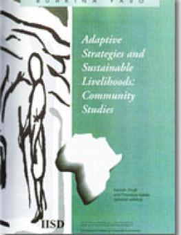 cover_adaptive_strategies_live6_en.jpg
