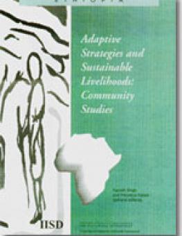 cover_adaptive_strategies_live7_en.jpg