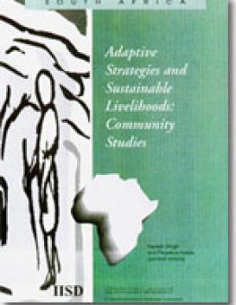 cover_adaptive_strategies_live9_en.jpg