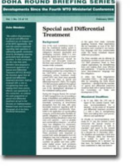 cover_doha_briefing_13.jpg