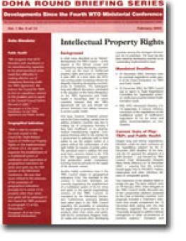 cover_doha_briefing_5.jpg