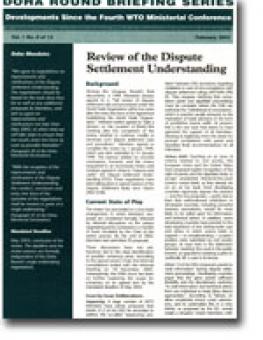 cover_doha_briefing_8.jpg