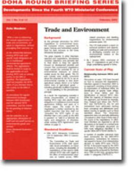 cover_doha_briefing_9.jpg