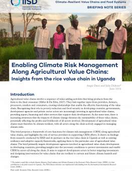 crm-insights-from-rice-value-chain-uganda-1.png