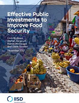 effective-public-investments-improve-food-security-1.jpg