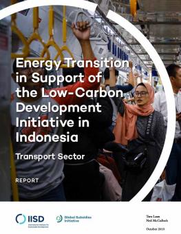 energy-transition-transport-sector-indonesia-b.jpg