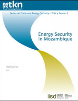 energy_security_mozambique.jpg