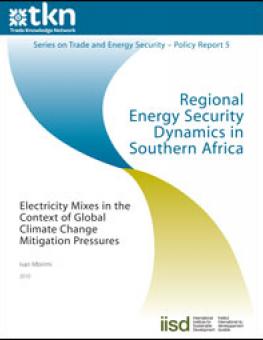 energy_security_southern_africa.jpg