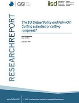 eu_biofuel_palm_oil.jpg