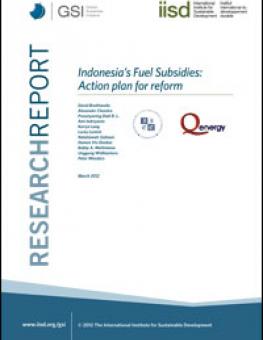 ffs_actionplan_indonesia.jpg