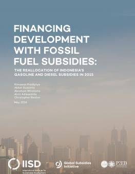 financing-development-fossil-fuel-subsidies-indonesia-1.jpg