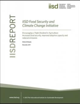 food_security_agriculture_triple_dividend.jpg