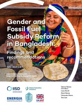 gender-fossil-fuel-subsidy-reform-bangladesh-1.jpg