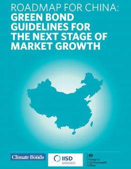 green-bond-guidelines-next-stage-market-growth-en-1.png