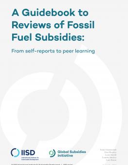 guidebook-reviews-fossil-fuels-subsidies-1.jpg