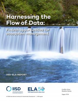 harnessing-flow-of-data-fintech-opportunities-1.jpg