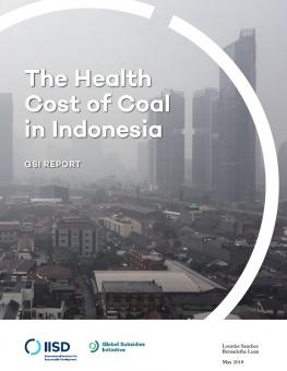 health-cost-indonesia.jpg