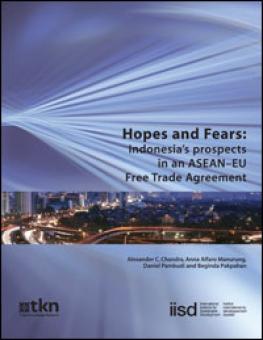 hopes_fears_indonesia_free_trade.jpg