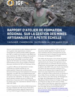 igf-meeting-report-yaounde-2018-fr(3)-1.jpg