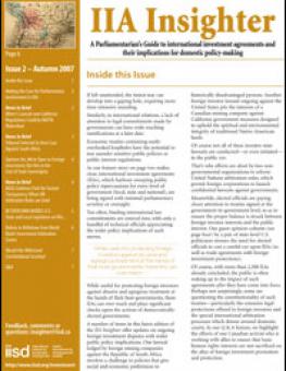 iia_insighter_issue_2.jpg