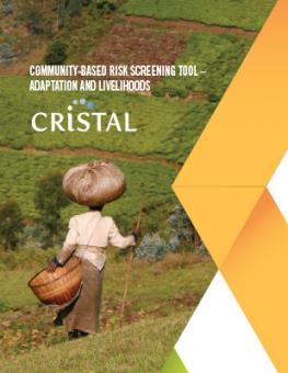 iisd-cristal-brochure-2015.jpg