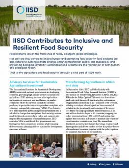 iisd-global-food-security-2020-en-1.jpg