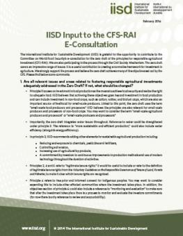 iisd_cfs_rai_consultation.jpg