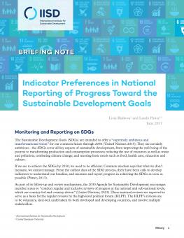 indicator-preferences-national-reporting-progress-toward-sdgs-1.jpg