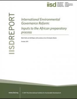 international_enviro_gov_africa.jpg