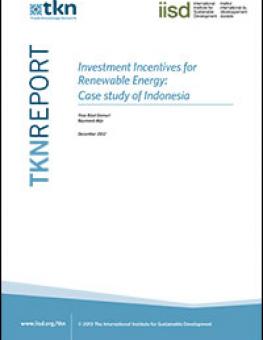 investment_incentives_indonesia.jpg