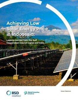 low-solar-energy-price-indonesia.jpg