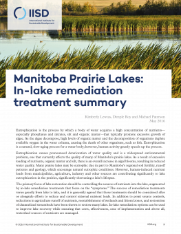 manitoba-prairie-lakes-remediation-treatment-summary(8)-1.png
