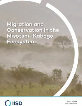 migration-conservation-misotshi-kabogo-ecosystem(3)-1.jpg