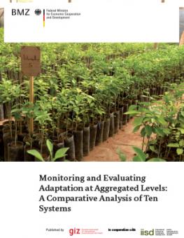 monitoring-evaluating-adaptation-giz-paper.jpg