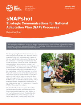 napgn-en-2018-snapshot-strategic-communications-for-the-nap-process_cover-791x1024.png
