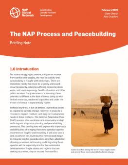 naps-peacebuilding.jpg