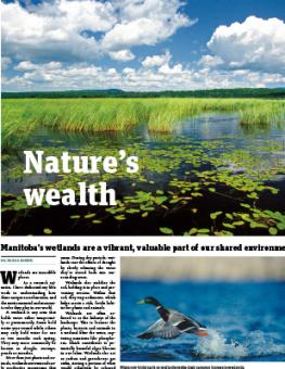 nature-wealth-cover.jpg