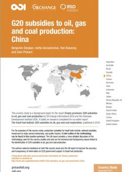 odi-g-20-china.jpg