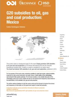 odi-g-20-mexico.jpg