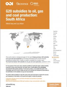 odi-g-20-south-africa.jpg