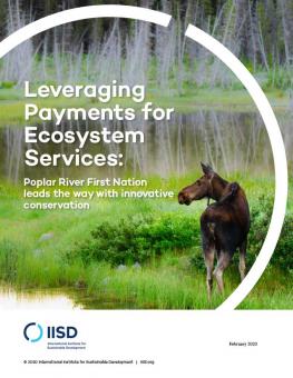 payments-ecosystem-services-prfn-1.jpg