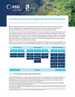 policy-taxonomy-2pager-V6-WEB-1.jpg