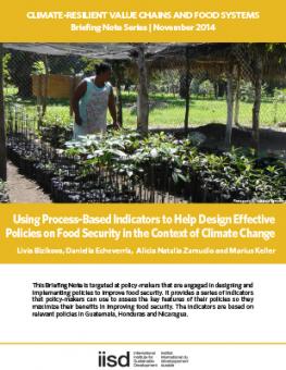 process-based-indicators-food-security.jpg