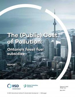 public-cost-pollution-1.jpg