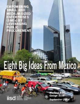 public-procurement-finance-smes-eight-big-ideas-mexico.jpg