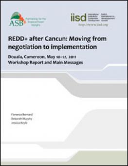 redd_douala_2011_workshop_report.jpg