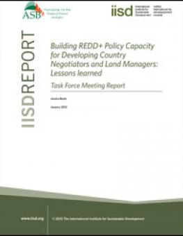 redd_policy_capactity_task_force_meeting.jpg