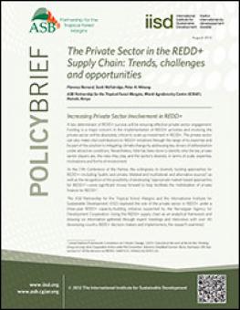 redd_private_sector_brief.jpg